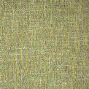 Greenhouse Fabric B9874 Tidewater