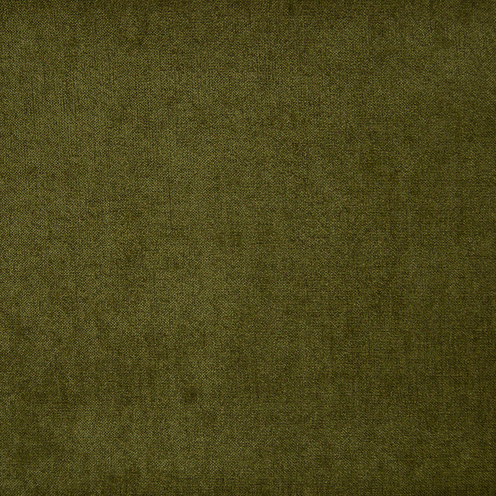 B9883 Grass by Greenhouse Designer Fabric F07: Value Plush 100% Polyester China 60,000 double rubs </p><p>Repeat: None 56" - Swanky Fabrics -