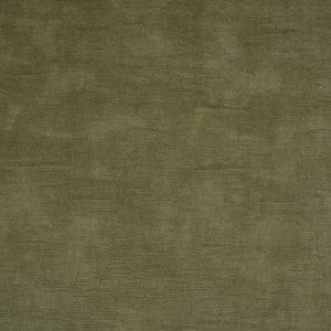 Greenhouse Fabric B9888 Olive