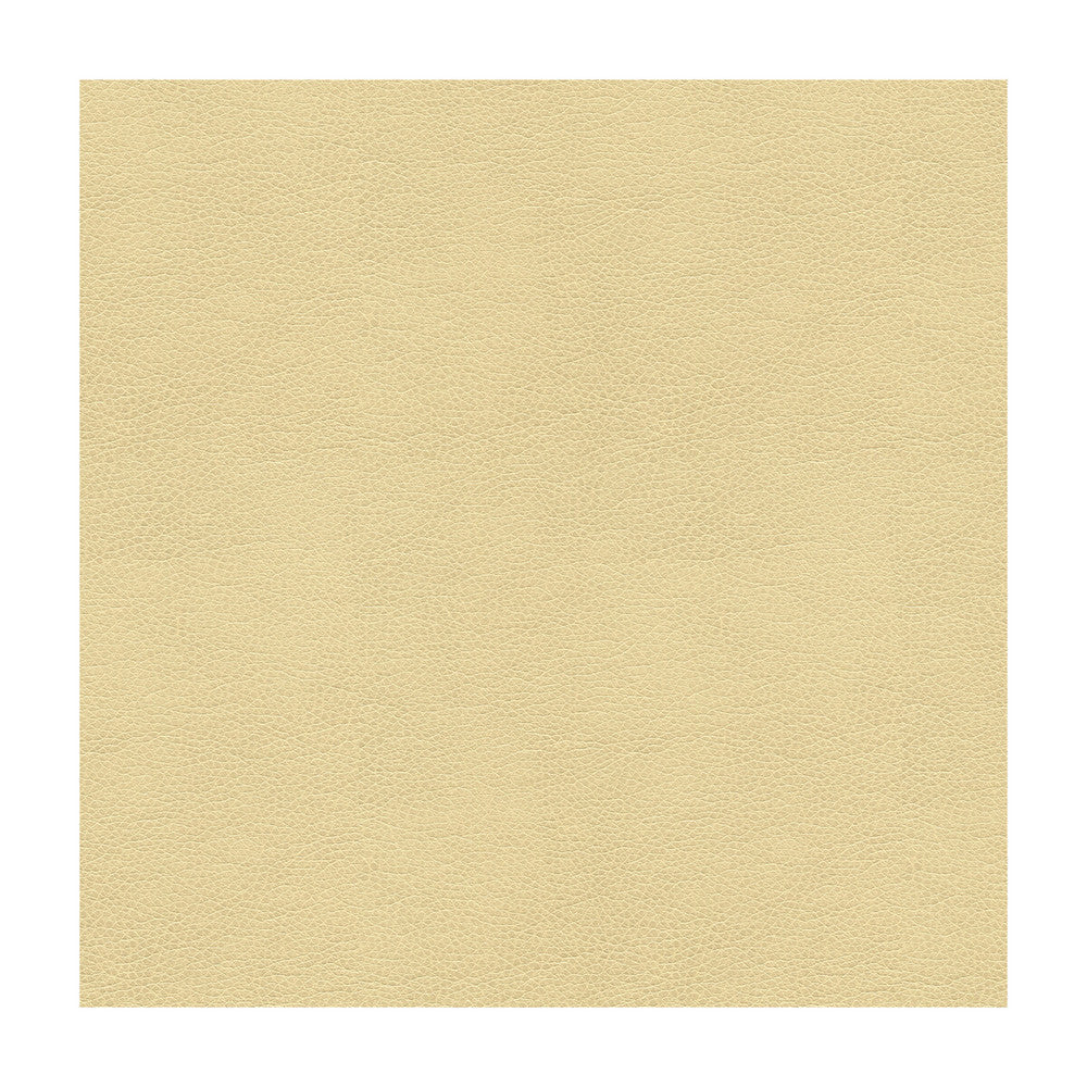 Kravet Contract Balara-116 by Kravet Contract Fabric Kravet Contract Fabric Kravet Contract Balara-116Fabric POLYURETHANE - 100% China </p><p>Repeat: H: , V: 55 - Fabric Carolina -