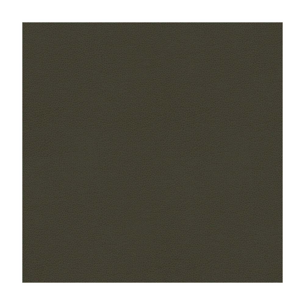 Balara-21 by Kravet Contract Designer Fabric POLYURETHANE - 100% China HEAVY Horizontal: and Vertical: 55 - Swanky Fabrics -
