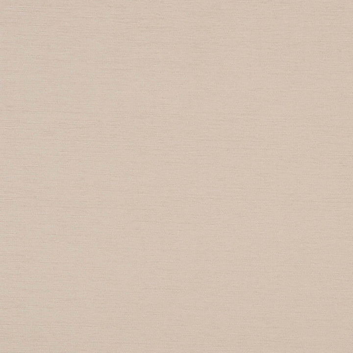 Bancroft 92J7031 by JF Crypton Designer Fabric Crypton Binder 100% Polyester United States 50000 Horizontal: and Vertical: 54 - Swanky Fabrics -