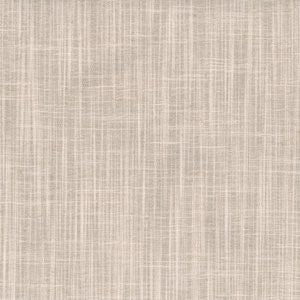 Bangkok Latte by Norbar Designer Fabric 100% POLYESTER INDIA 54 - Swanky Fabrics -