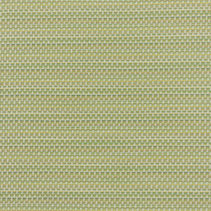 Barkley 3 Cypress by Stout Fabric Stout Fabric Barkley 3 CypressFabric NO LIMITS 100%POL USA </p><p>Repeat: H: 0.000, V: 9.000 54 in - Fabric Carolina -