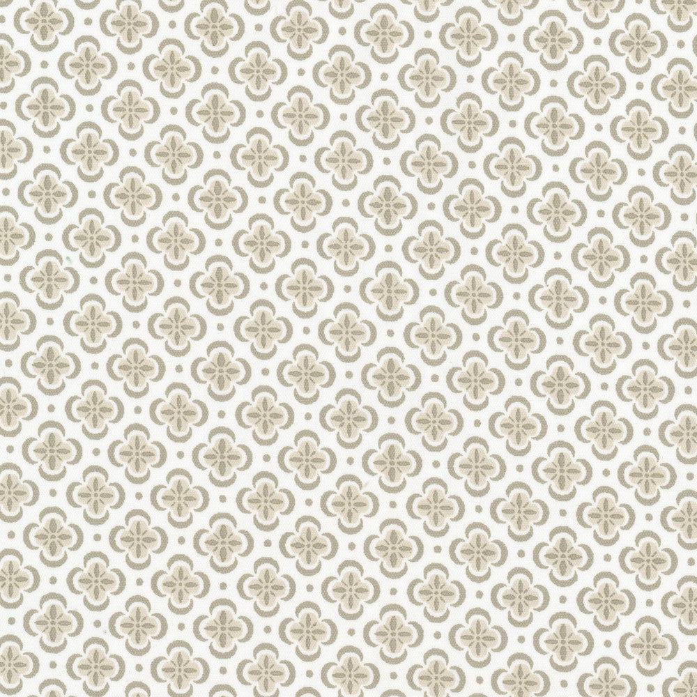 Basilica 4 Putty by Stout Designer Fabric RAINBOW LIBRARY ALMOND/GRANITE 100%COT INDIA Horizontal: 1.500 and Vertical: 1.500 54 in - Swanky Fabrics -