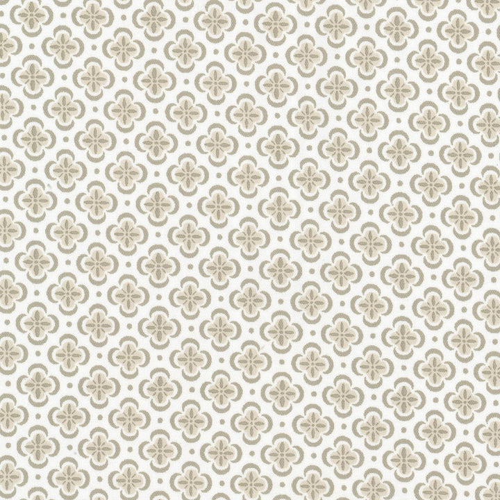 Basilica 4 Putty by Stout Designer Fabric RAINBOW LIBRARY ALMOND/GRANITE 100%COT INDIA Horizontal: 1.500 and Vertical: 1.500 54 in - Swanky Fabrics -