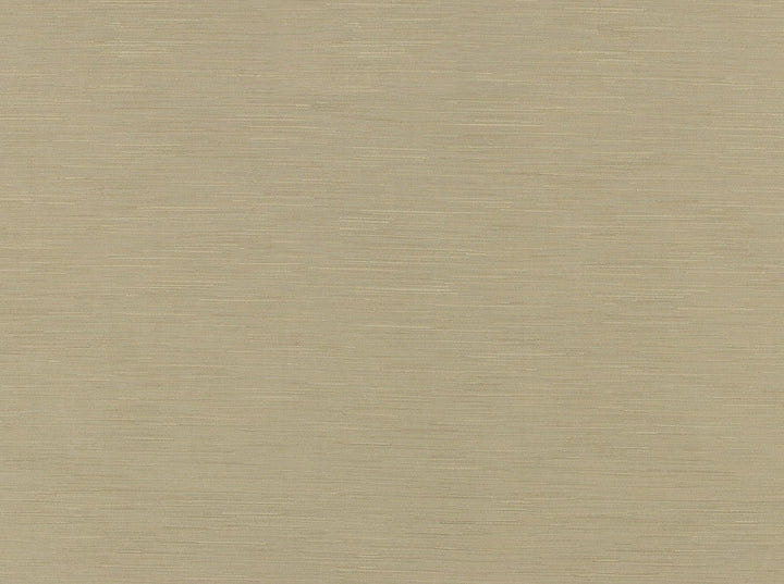 Bassiano 13 Raffia by Covington Designer Fabric Covington Right 15.9 23.85 0 0 by product