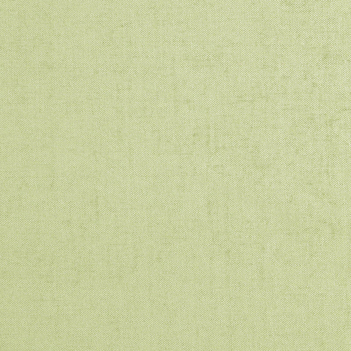 BATTLE 72J7081 by JF Designer Fabric Winning Weaves V Book 100% Polyester India  Horizontal:  and Vertical:  55  - Swanky Fabrics -