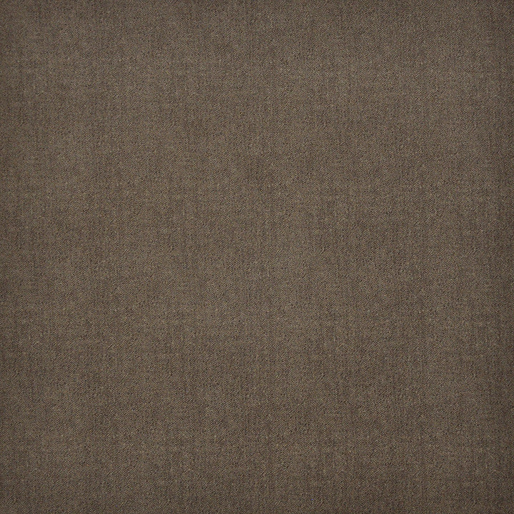 Baxter-Ess # 100 Earth by Maxwell Designer Fabric Upholstery Essentials-Textures Iii-Microfiber 100% POLYESTER CHINA 56" - Swanky Fabrics -