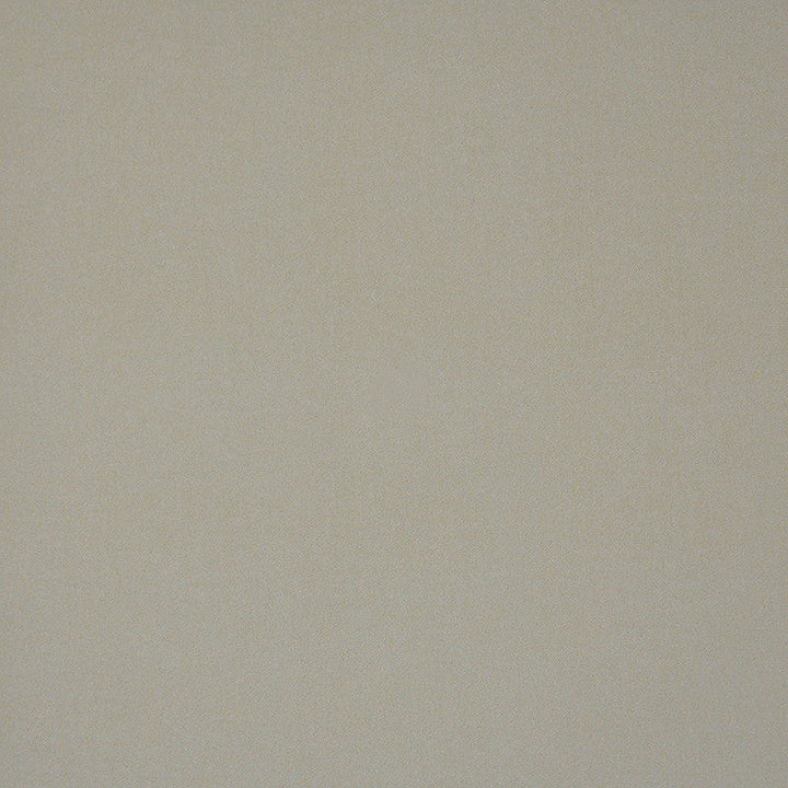 Baxter-Ess # 900 Ricotta by Maxwell Designer Fabric Upholstery Essentials-Textures Iii-Microfiber 100% POLYESTER CHINA 56" - Swanky Fabrics -