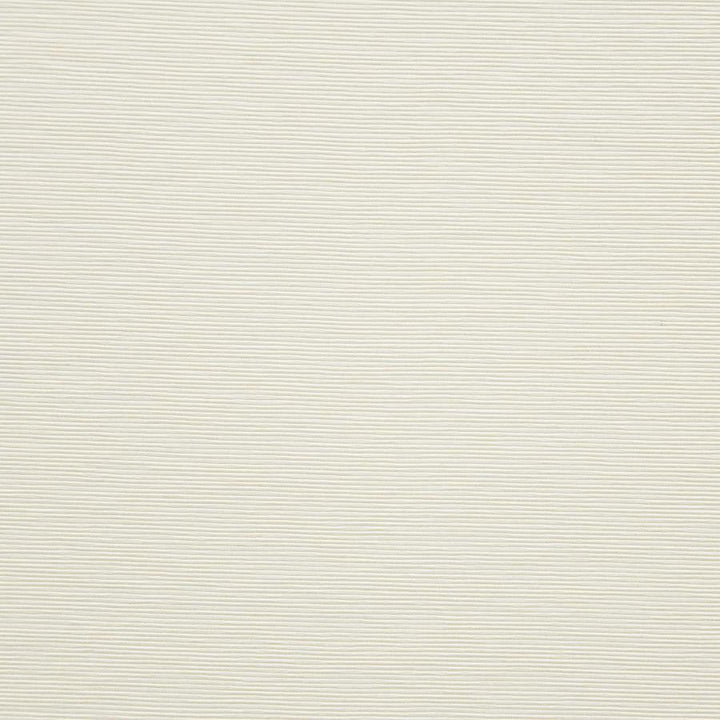 Bursa # 02 Vanilla by Maxwell Designer Fabric Pure & Simple X 72% RAYON/28% POLYESTER CHINA 56" - Swanky Fabrics -