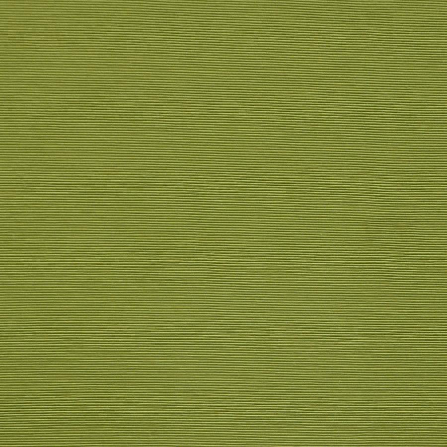 Bursa # 24 Sprout by Maxwell Designer Fabric Pure & Simple X 72% RAYON/28% POLYESTER CHINA 56" - Swanky Fabrics -