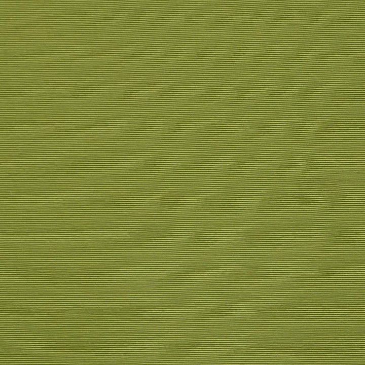 Bursa # 24 Sprout by Maxwell Designer Fabric Pure & Simple X 72% RAYON/28% POLYESTER CHINA 56" - Swanky Fabrics -