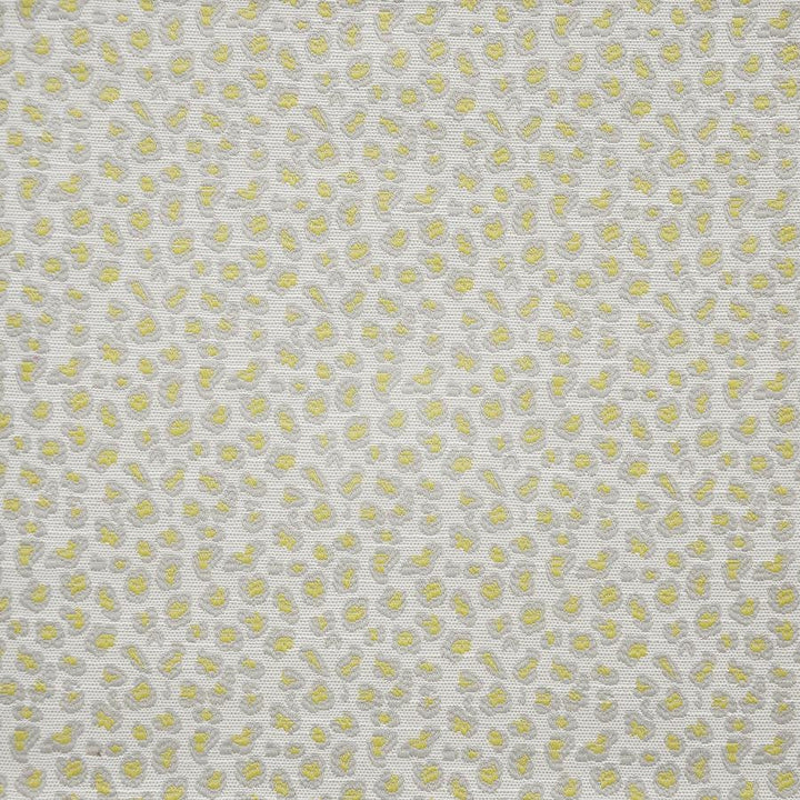 Bop # 410 Lemon by Maxwell Designer Fabric Upholstery Palettes-Mimosa 100% POLYESTER CHINA V&H-3.75" 55" - Swanky Fabrics -