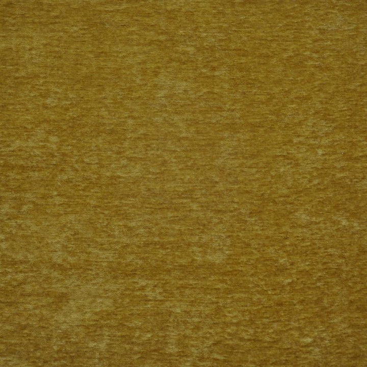 Bouton # 733 Gold by Maxwell Designer Fabric Performance Wovens-Vol. V Paintbrush 100% POLYESTER CHINA 56" - Swanky Fabrics -
