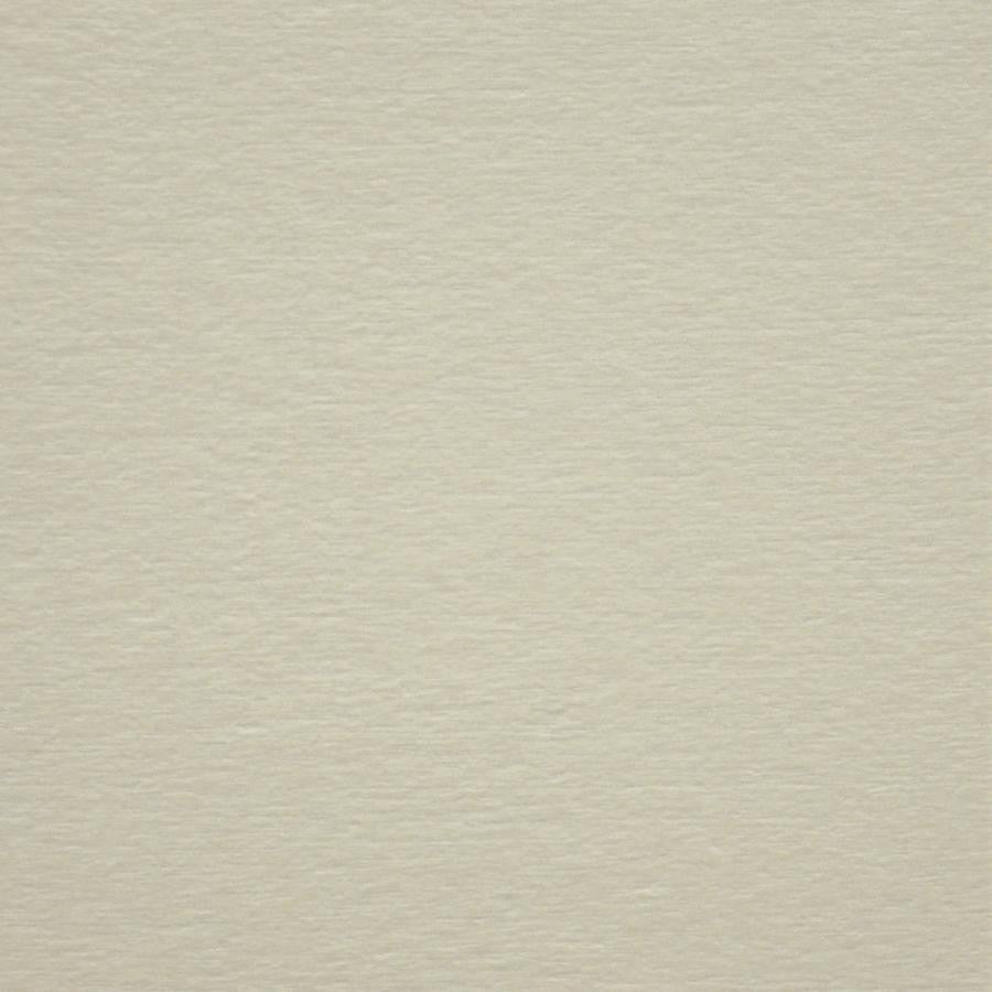 Bouton # 929 Swan by Maxwell Designer Fabric Performance Wovens-Vol. V Silver Sun 100% POLYESTER CHINA 56" - Swanky Fabrics -