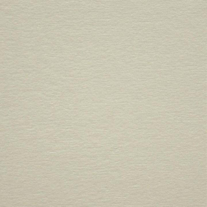 Bouton # 929 Swan by Maxwell Designer Fabric Performance Wovens-Vol. V Silver Sun 100% POLYESTER CHINA 56" - Swanky Fabrics -