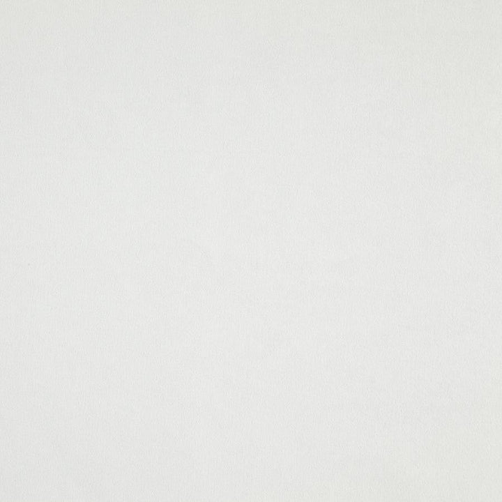 Billiard # 11 Mist by Maxwell Designer Fabric Performance Velvets-Vol.Iii 100% POLYESTER TURKEY 54" - Swanky Fabrics -