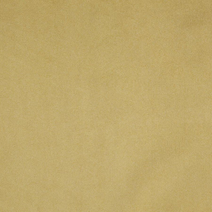 Billiard # 18 Hay by Maxwell Designer Fabric Performance Velvets-Vol.Iii 100% POLYESTER TURKEY 54" - Swanky Fabrics -
