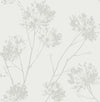 Seabrook Designs Wallpaper Wild Grass Chardonnay BD50200