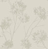 Seabrook Designs Wallpaper Wild Grass Champagne BD50203