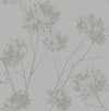 Seabrook Designs Wallpaper Wild Grass Silversmoke BD50210