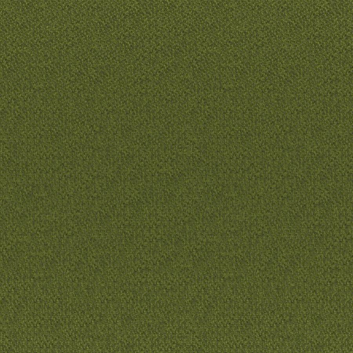 Bruno # 835 Palm by Maxwell Designer Fabric Colorguard-Amazonia 100% POLYESTER CHINA 55.9" - Swanky Fabrics -