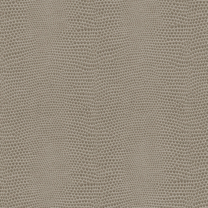 Basilisk-Nj # 1127 Clay by Maxwell Designer Fabric Memos Only-Coated Fabrics FACE: 100% POLYURETHANE
BACKING: 100% POLYESTER KOREA V-4.5" H-3" 54" - Swanky Fabrics -
