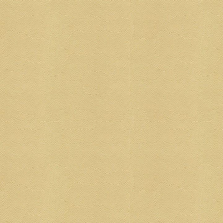 Beautymark Sand by Kravet Couture Designer Fabric NYLON - 100% Japan HEAVY Horizontal: 4 and Vertical: 10 54 - Swanky Fabrics -