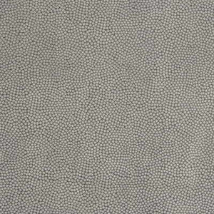 Kravet Fabric Beautymark Flint