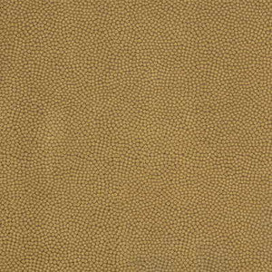 Kravet Fabric Beautymark Teak