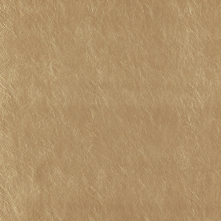 BEAUTY 14J7361 by JF Designer Fabric Tannery Basics Book 71% Polyvinyl Chloride, 26% Polyester, 3% Polyurethane Turkey  Horizontal:  and Vertical:  54  - Swanky Fabrics -