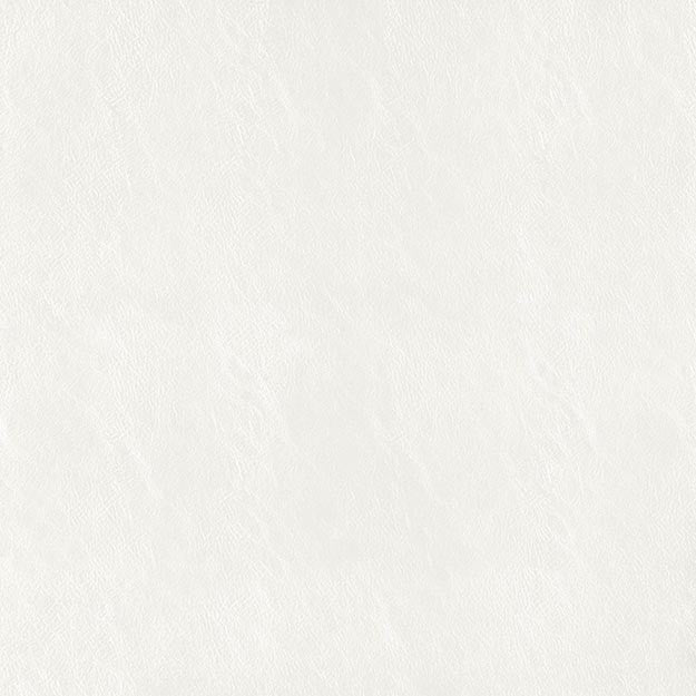 BEAUTY 90J7361 by JF Designer Fabric TANNERY BASICS 71% Polyvinyl Chloride, 26% Polyester, 3% Polyurethane TURKEY ABRASIO (HEAVY DUTY- 30,000+ DOUBLE RUBS) Horizontal: N/A and Vertical: N/A 54.00 - Swanky Fabrics -