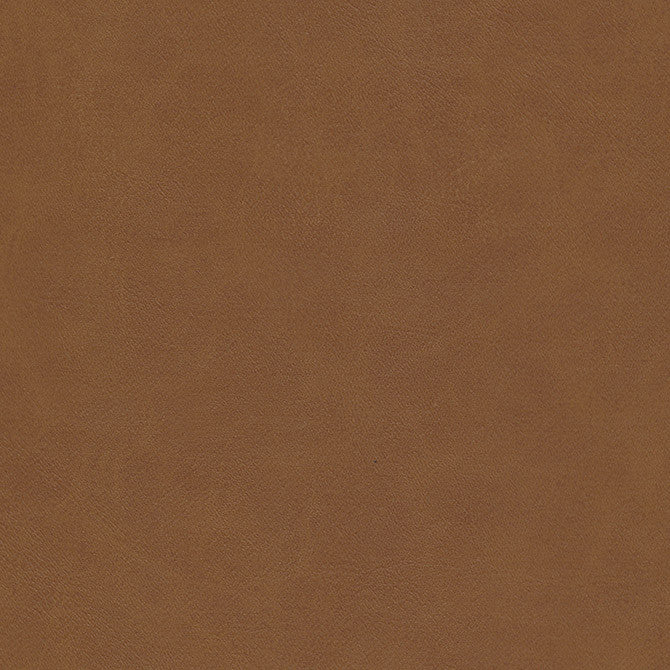 Boyden-Nj # 927 Sycamore by Maxwell Designer Fabric Memos Only-Coated Fabrics FACE: 100% PVC
BACKING: 100% POLYESTER KOREA 54" - Swanky Fabrics -
