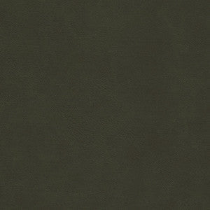 Maxwell Fabric Boyden-Nj # 929 Guerrila