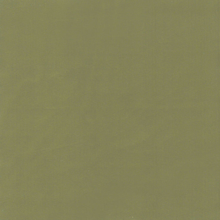 Beechwood 15 Pistachio by Marcus William Fabric Marcus William Fabric Beechwood 15 PistachioFabric KAI/MARCUS WILLIAM KOJI 100%POL INDIA </p><p>Repeat: H: 0.000, V: 0.000 55 in - Fabric Carolina -