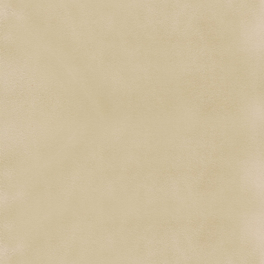 Beechwood 1 Chardonnay by Marcus William Fabric Marcus William Fabric Beechwood 1 ChardonnayFabric KAI/MARCUS WILLIAM BOTANICAL ESCAPE 100%POL INDIA </p><p>Repeat: H: 0.000, V: 0.000 55 in - Fabric Carolina -