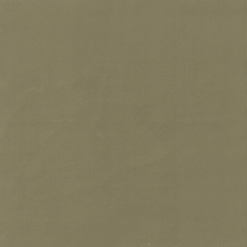 Beechwood 4 Chive by Marcus William Fabric Marcus William Fabric Beechwood 4 ChiveFabric KAI/MARCUS WILLIAM BOTANICAL ESCAPE 100%POL INDIA </p><p>Repeat: H: 0.000, V: 0.000 55 in - Fabric Carolina -