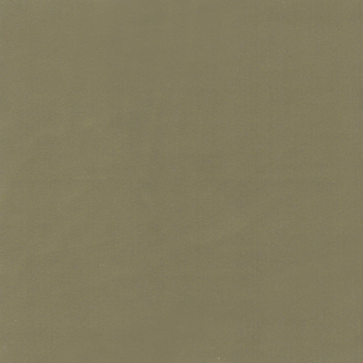 Beechwood 4 Chive by Marcus William Fabric Marcus William Fabric Beechwood 4 ChiveFabric KAI/MARCUS WILLIAM BOTANICAL ESCAPE 100%POL INDIA </p><p>Repeat: H: 0.000, V: 0.000 55 in - Fabric Carolina -