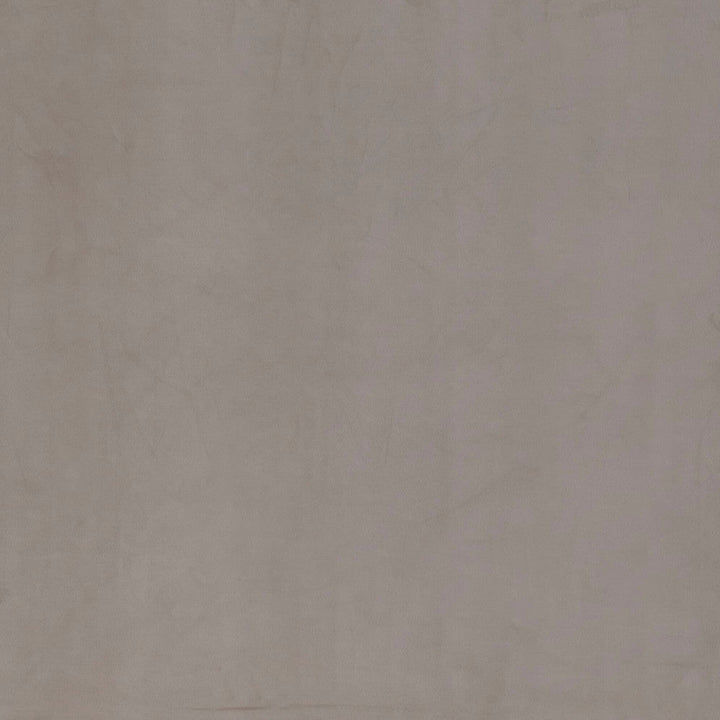 Beechwood 8 Sandstone by Marcus William Designer Fabric KAI/MARCUS WILLIAM BOTANICAL ESCAPE 100%POL INDIA Horizontal: 0.000 and Vertical: 0.000 55 in - Swanky Fabrics -
