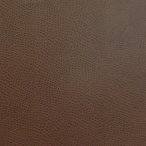 Maxwell Fabric Buckeye # 719 Fudge