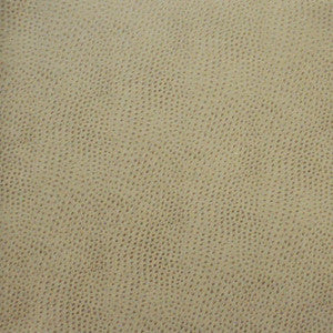 Maxwell Fabric Buckeye # 766 Haze
