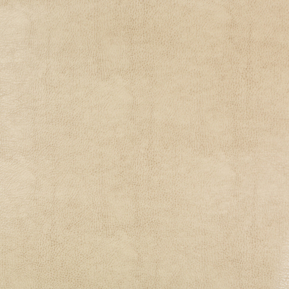 Beholder-116 by Kravet Design Designer Fabric POLY VINYL CHLORIDE - 79%;POLYESTER - 21% China HEAVY Horizontal: 0 and Vertical: 0 54 - Swanky Fabrics -