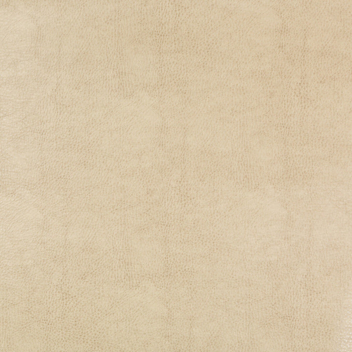Kravet Design Beholder-116 by Kravet Design Fabric Kravet Design Fabric Kravet Design Beholder-116Fabric POLY VINYL CHLORIDE - 79%;POLYESTER - 21% China </p><p>Repeat: H: 0, V: 0 54 - Fabric Carolina -