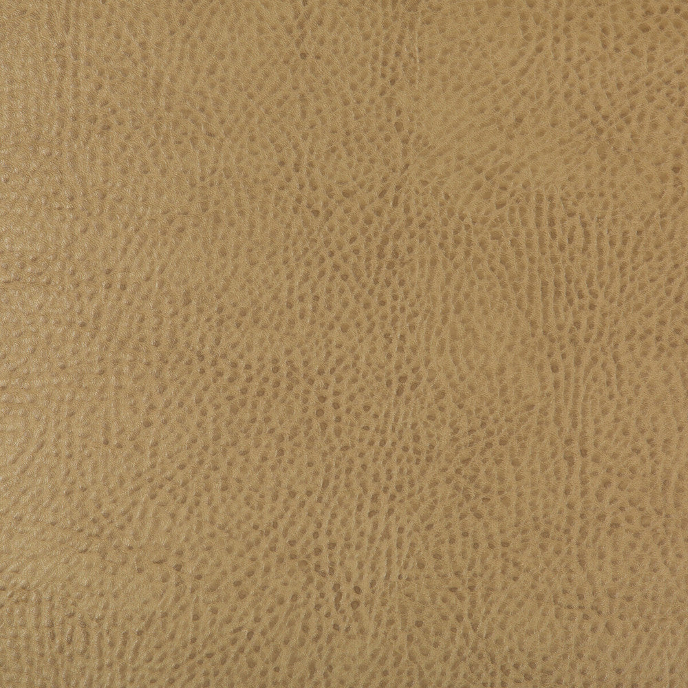 Beholder-16 by Kravet Design Designer Fabric - POLY VINYL CHLORIDE - 79%;POLYESTER - 21% China HEAVY Horizontal: 0 and Vertical: 0 54 - Swanky Fabrics -