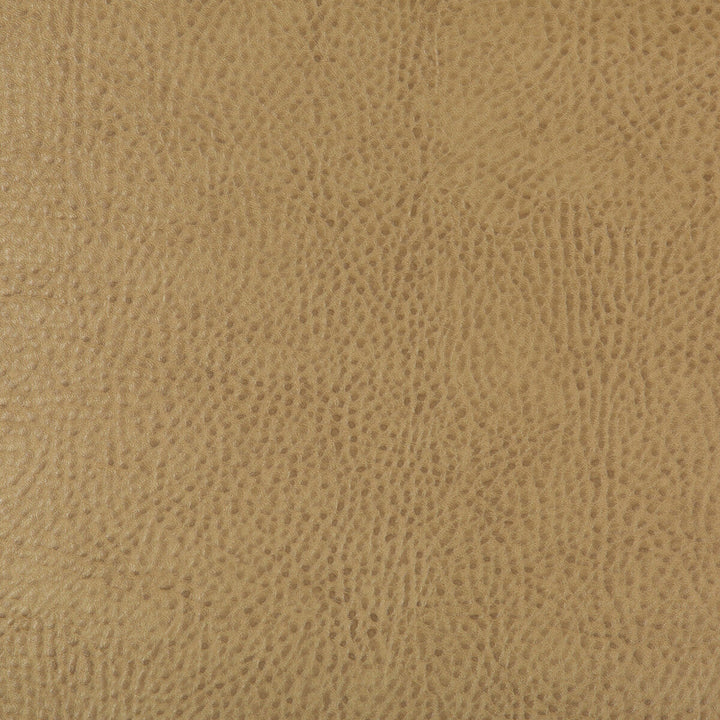 Kravet Design Beholder-16 by Kravet Design Fabric Kravet Design Fabric Kravet Design Beholder-16Fabric POLY VINYL CHLORIDE - 79%;POLYESTER - 21% China </p><p>Repeat: H: 0, V: 0 54 - Fabric Carolina -