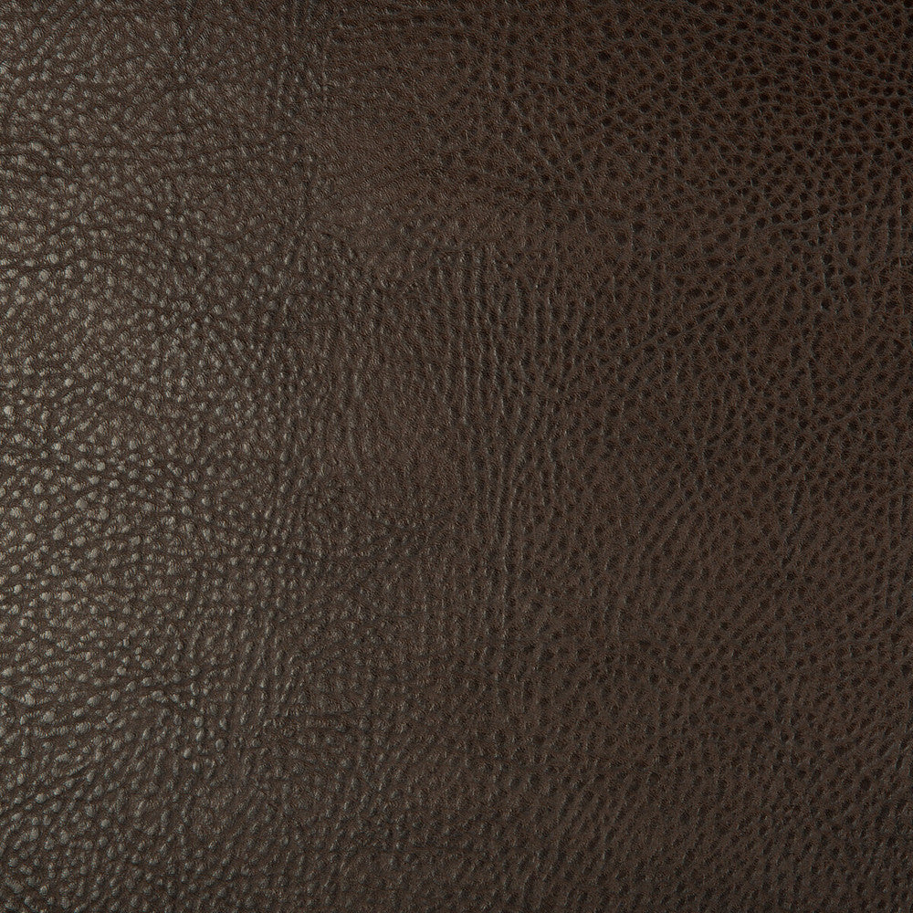 Beholder-6 by Kravet Design Designer Fabric - POLY VINYL CHLORIDE - 79%;POLYESTER - 21% China HEAVY Horizontal: 0 and Vertical: 0 54 - Swanky Fabrics -