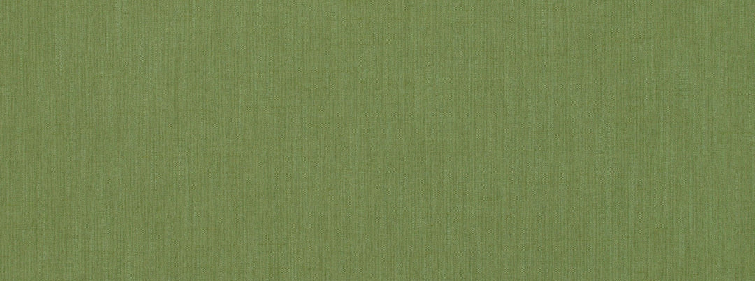 Belfast 232 Palm by Covington Designer Fabric