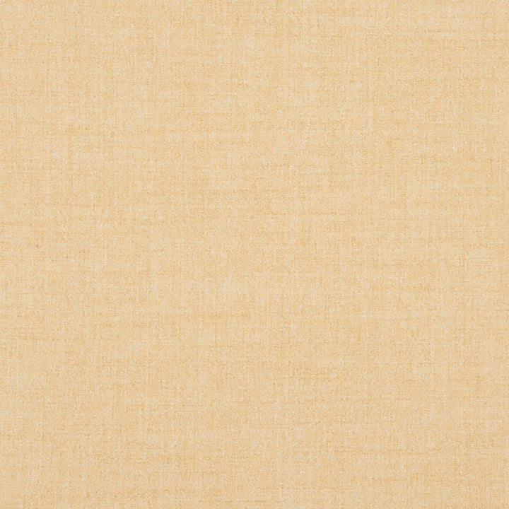 Belleville 11J7031 by JF Crypton Designer Fabric Crypton Binder 100% Polyester Taiwan 50000 Horizontal: and Vertical: 54 - Swanky Fabrics -