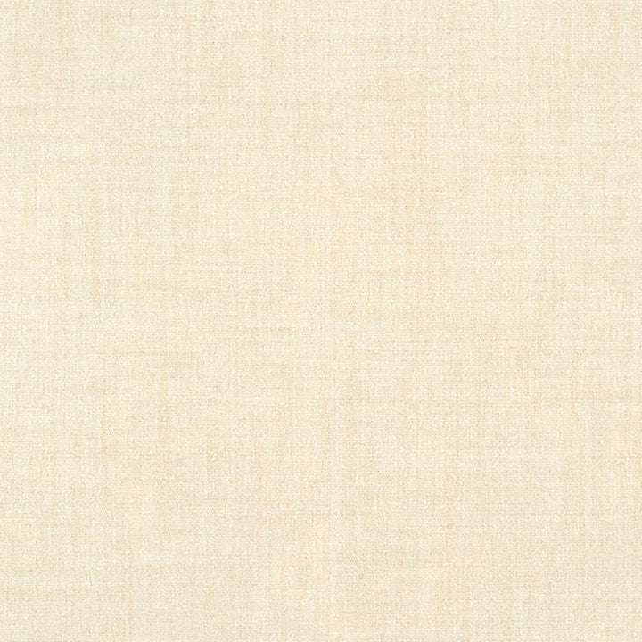 Belleville 91J7031 by JF Crypton Designer Fabric Crypton Binder 100% Polyester Taiwan 50000 Horizontal: and Vertical: 54 - Swanky Fabrics -